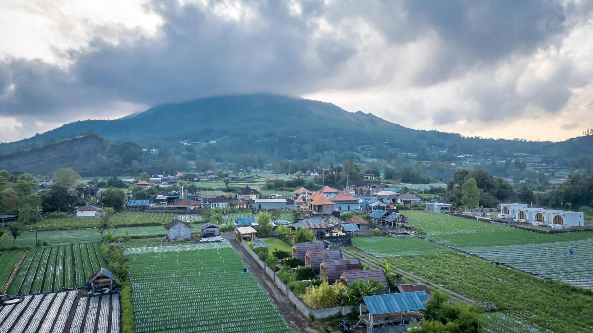 Tegal Bamboo Cottages & Private Hot Spring Baturaja  Eksteriør billede