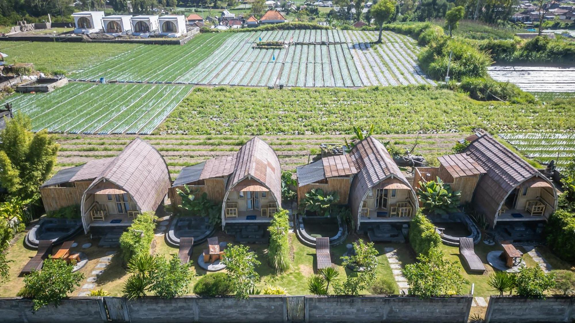Tegal Bamboo Cottages & Private Hot Spring Baturaja  Eksteriør billede
